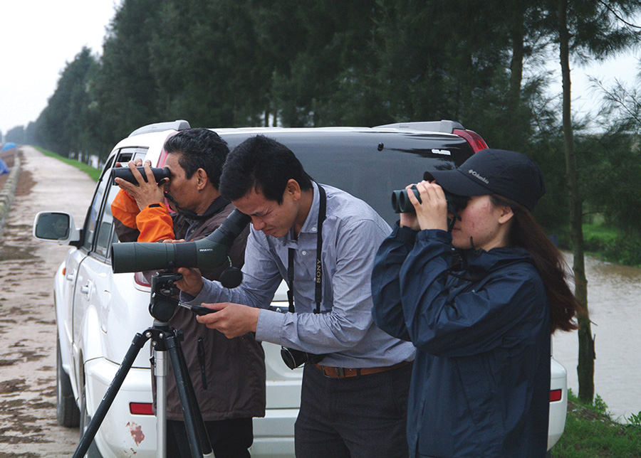 Vietnam-Birders_web