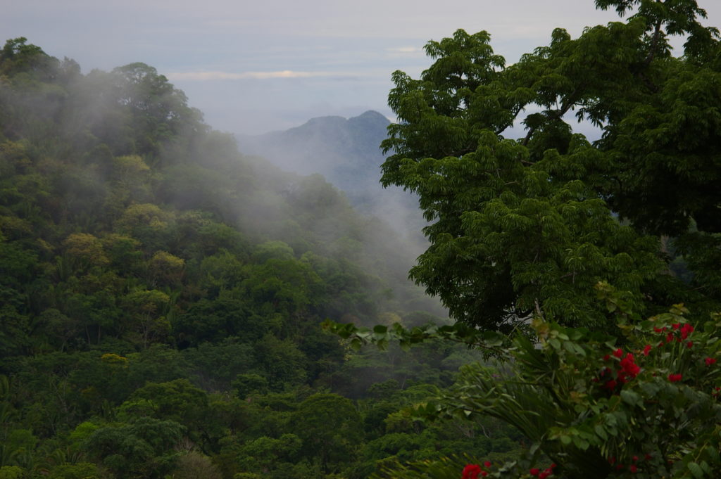 Maya Mountain Ridge, Belize. Photograph by Larry Morris